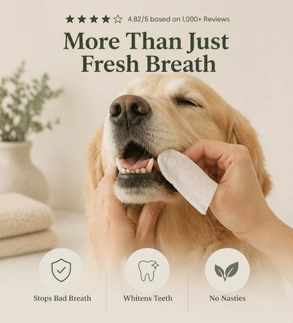 Daily Pet Dental Wipes