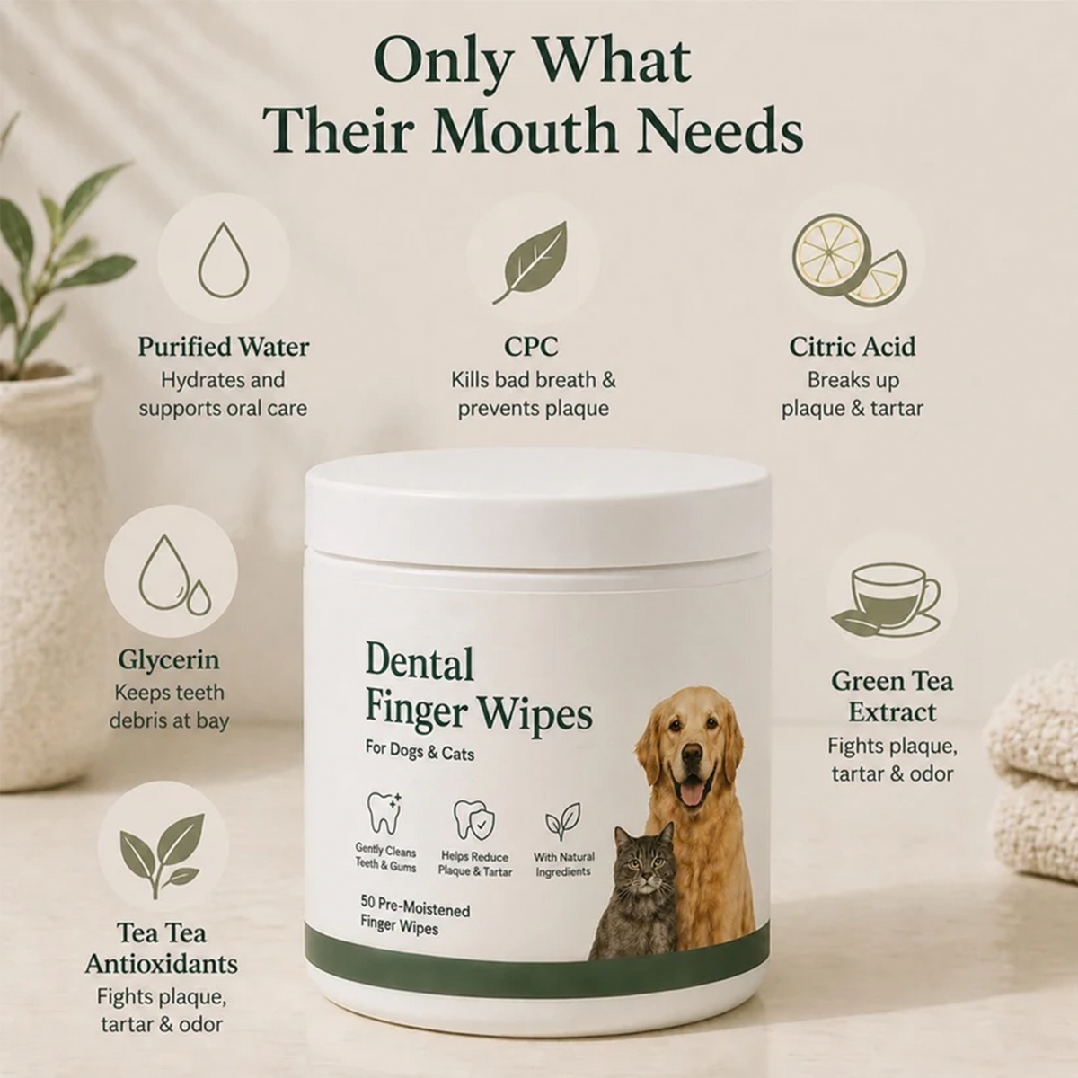 Daily Pet Dental Wipes