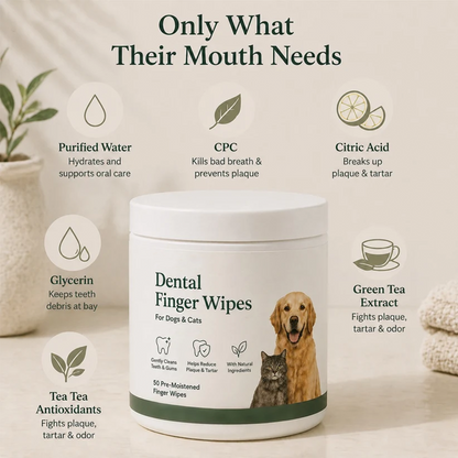 Daily Pet Dental Wipes