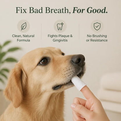 Daily Pet Dental Wipes