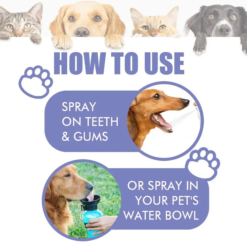 Say Goodbye to Bad Breath & Plaque — Without Brushing