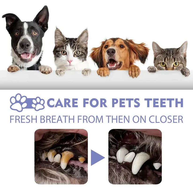 Say Goodbye to Bad Breath & Plaque — Without Brushing
