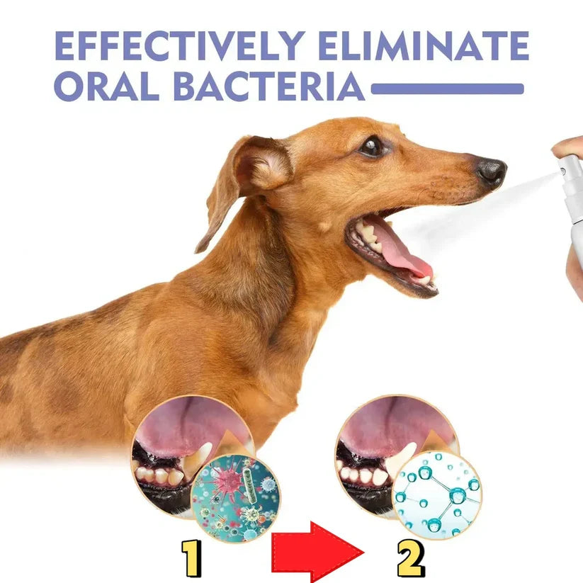 Say Goodbye to Bad Breath & Plaque — Without Brushing