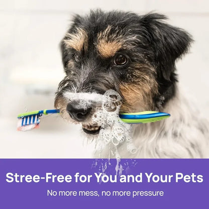 Say Goodbye to Bad Breath & Plaque — Without Brushing