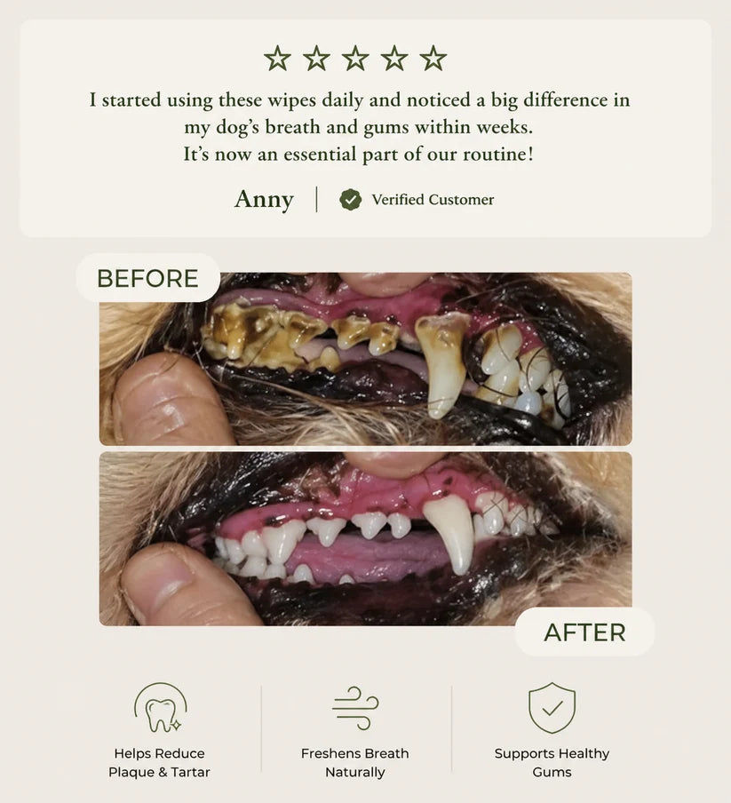 Daily Pet Dental Wipes