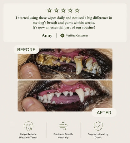 Daily Pet Dental Wipes